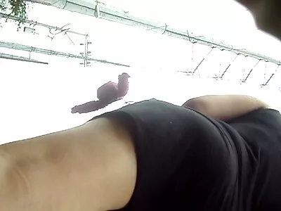 Leszbikus nők élvezik a magömlést kefélések